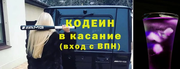 хмурый Алзамай