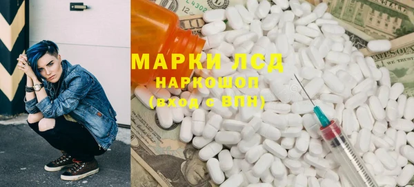 хмурый Алзамай