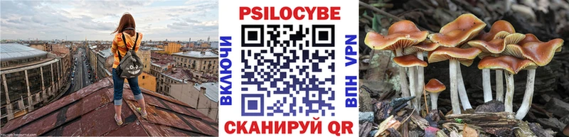 kraken онион  купить  цена  Ставрополь  Псилоцибиновые грибы Psilocybe 