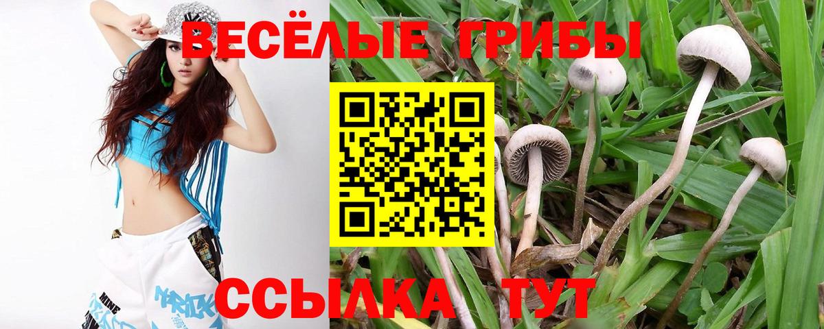 Ставрополь  Вход с VPN  Марихуана  КОКАИН  Гашиш  Меф кристаллы  Марихуана 