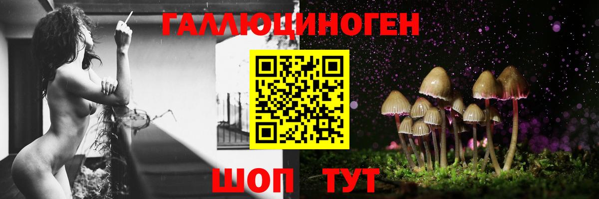 как найти   Псилоцибиновые грибы Cubensis  Вход с VPN  Ставрополь 
